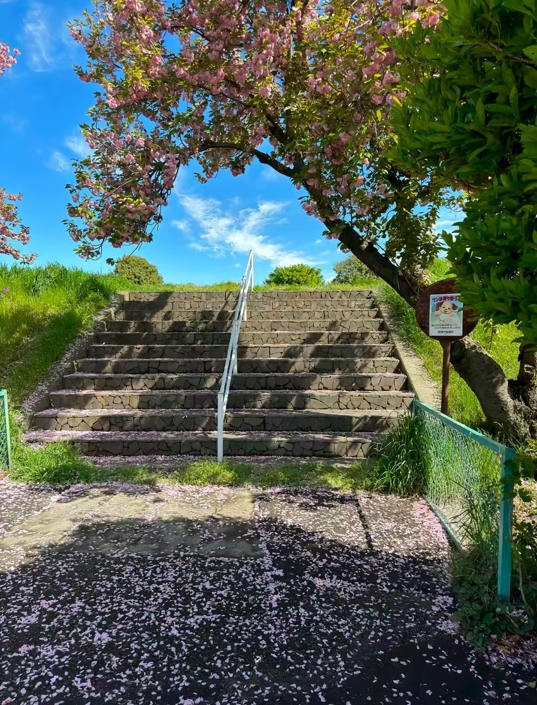 ю?:-爱游戏中国